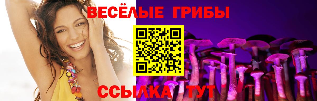Гашиш  Вход с VPN  Тавда  Мефедрон  A PVP СОЛЬ   ГАШИШ  МЕФ   МАРИХУАНА  LSD-25 